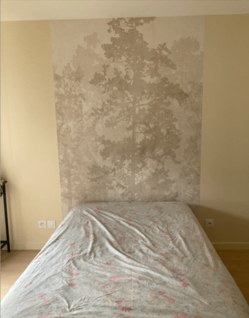 chambre parentale couleur et tête de lit en papier peint  Meylan.png